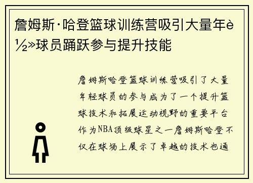 詹姆斯·哈登篮球训练营吸引大量年轻球员踊跃参与提升技能